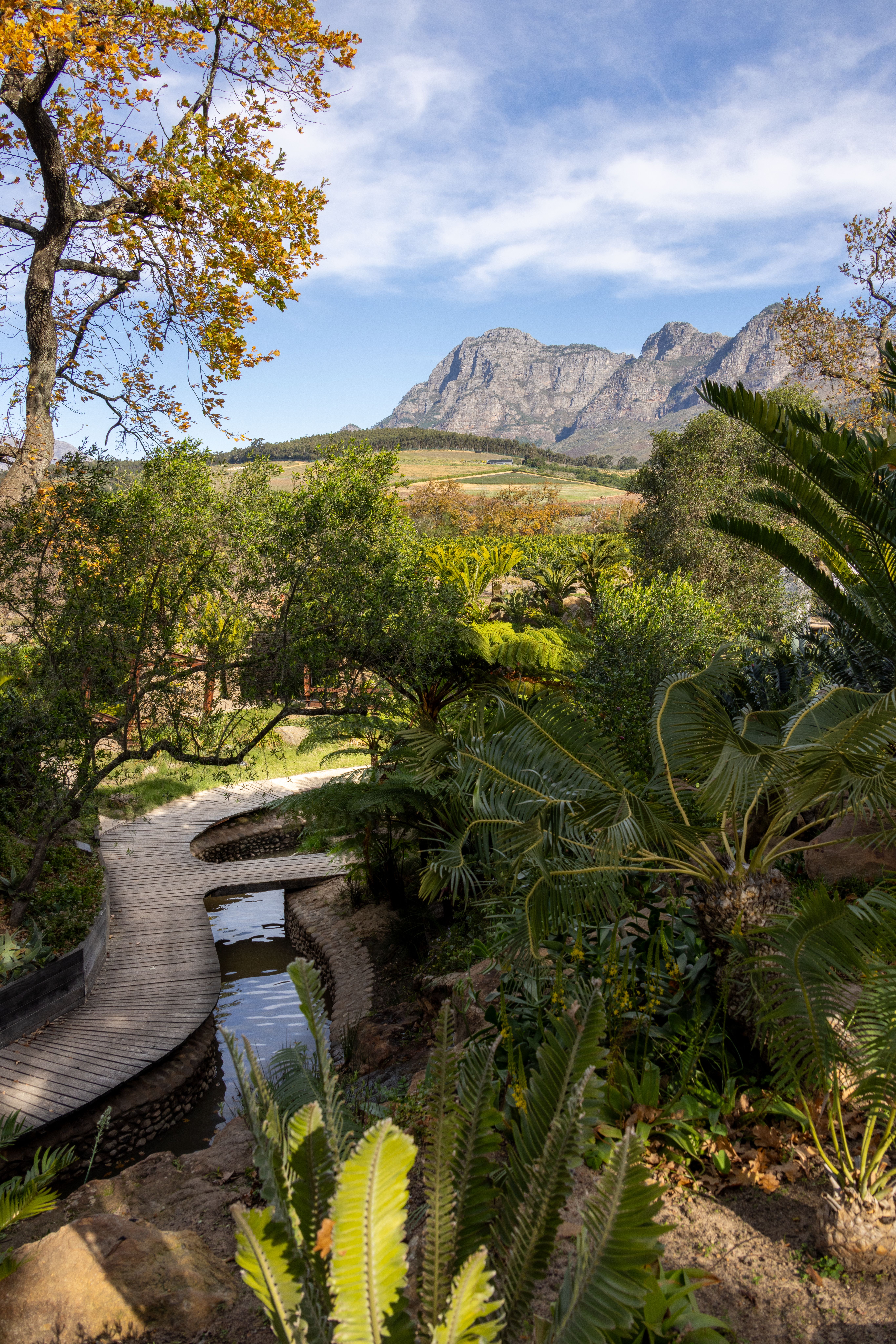 Stellenbosch & Franschhoek, Western Cape